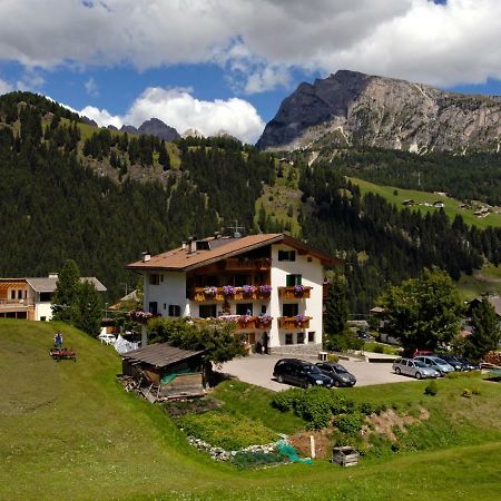 Villa Insam Apartment Selva di Val Gardena Bagian luar foto