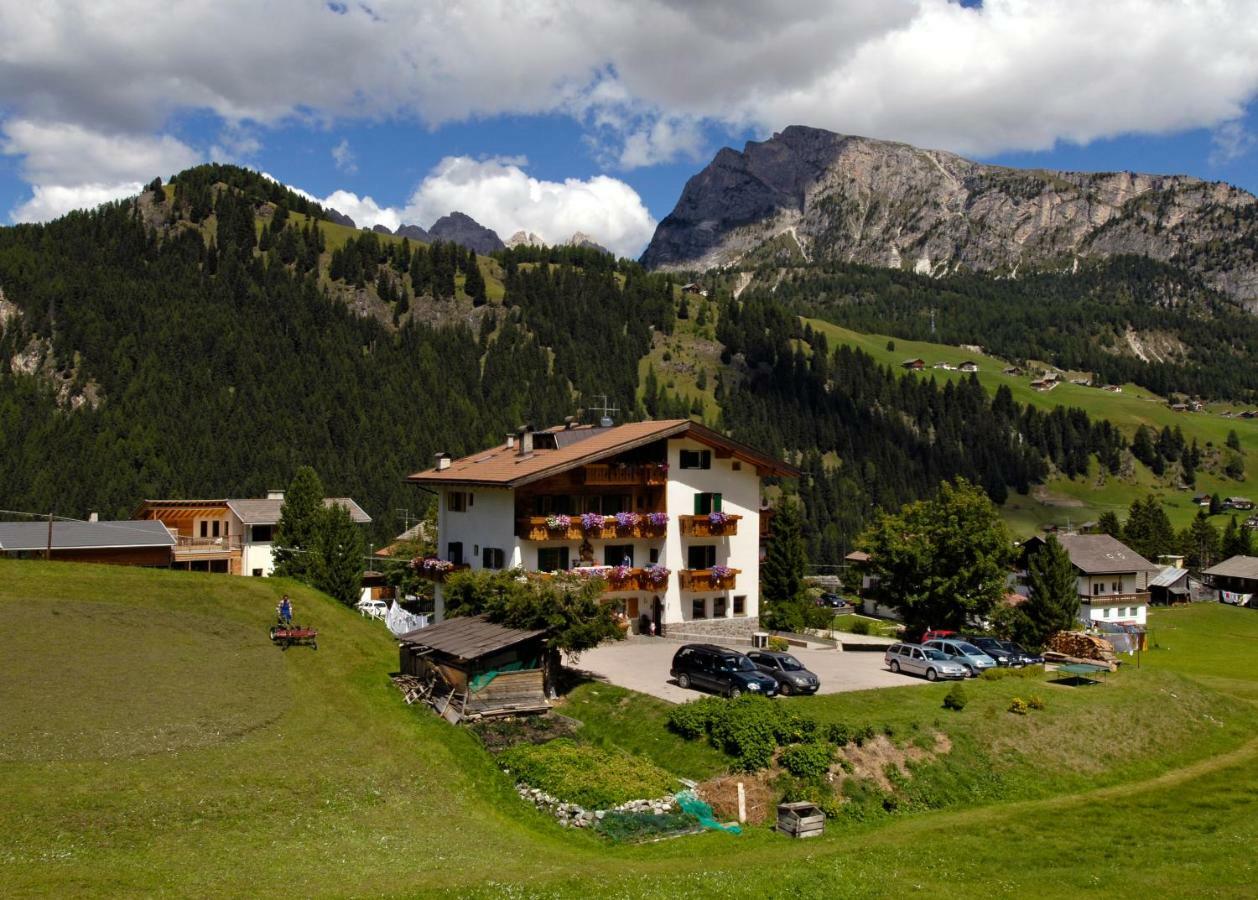 Villa Insam Apartment Selva di Val Gardena Bagian luar foto